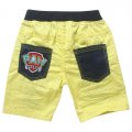 Boys Paw patrol shorts
