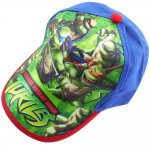 Kids 3d cap hat - TMNT blue