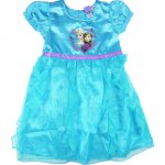 Frozen Anna & Elsa Fairy dress Costume party dress up