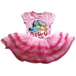 Girls Bluey party tutu dress